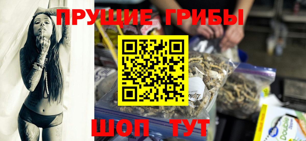 Нижний Тагил  Псилоцибиновые грибы прущие грибы  Вход с VPN 